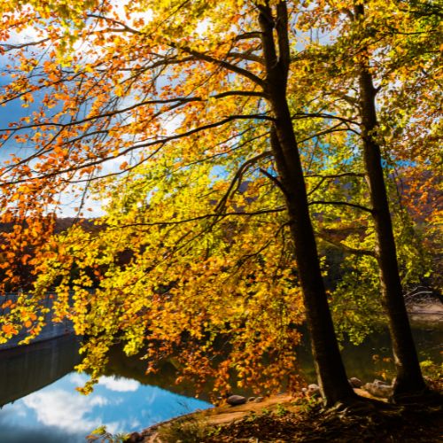 Ruta del Turó de l’Home: Parc Natural del Montseny